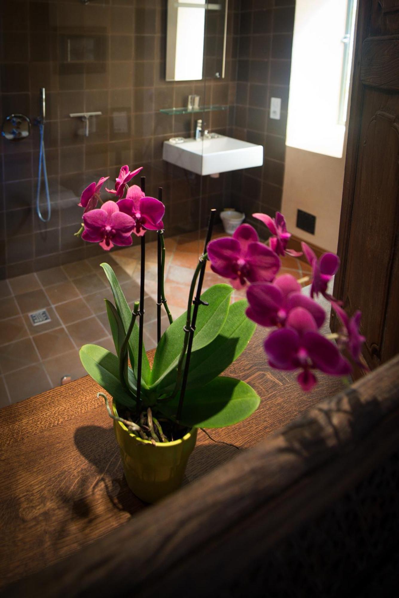 Chambres D'Hotes Domaine De Nazere Avezan Kamer foto